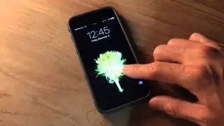 iPhone 6S Live Photos LockScreen (Flower Blooming 7)