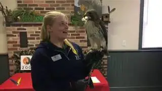 Zoo School Live! - 3.25.20
