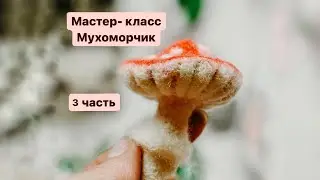24 февраля 2024 г.