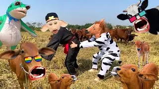 Con bò - Con bò con - Nhạc con bò - Con bò ăn cỏ - Bài hát con bò - Nhạc parody con bò #conbo