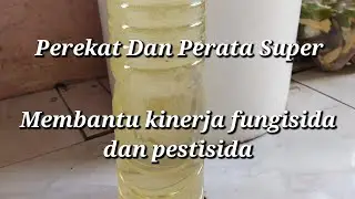 perekat Dan Perata Super
