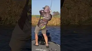 Catching a 6 pound Bass