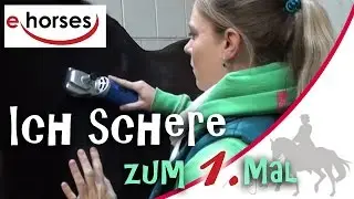 Ich schere zum 1. Mal - sponsored by ehorses & agradi.de