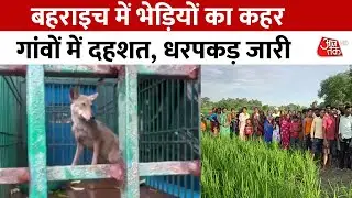 Operation Bhediya: आदमखोर भेड़ियों के आतंक से परेशान 35 गांव, रात भर जाग रहे हैं ग्रामीण