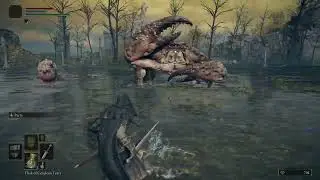 Giant Crab. That is all [PC] Elden Ring