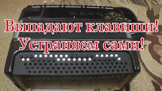 Ремонт баяна своими руками