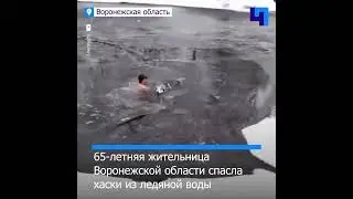 В Воронежской области пенсионерка прыгнула в ледяную воду, чтобы спасти собаку