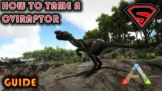 ARK HOW TO TAME A OVIRAPTOR 2019 - EVERYTHING YOU NEED TO KNOW ABOUT TAMING A  OVIRAPTOR