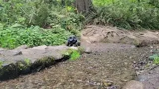 trx4 2s mamba x sensored combo.  hyrax tires. peaceful crawl at wildwood park.