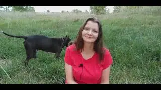 Помощь родителей своим взрослым детям.