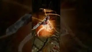 Он подошел из-за угла... || Skyrim SE Reflyem       