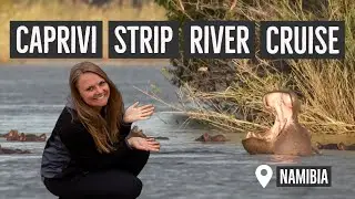 Hippos and Crocodiles in the Caprivi Strip - RiverDance Lodge