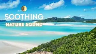 Wash Away Your Anxiety 🌊 Pure Ocean Ambience & Gentle Sea Foam 🎧 Ocean Sounds for Sleep