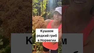 Кушаем редкий гриб в Норвегии #норвегия