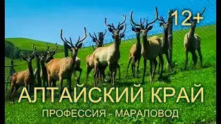 Алтай, профессия 
