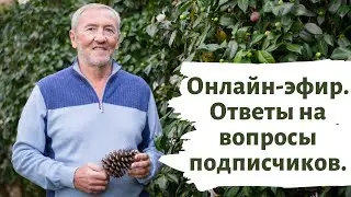 Онлайн-эфир. Леонид Черновецкий отвечает на вопросы подписчиков.