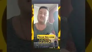 #Песня без слов#Белый день#Кино#cover#