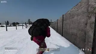 Apex DayZ Winter Chernarus #2