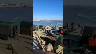 20 января 2024 г.