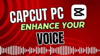 Remove Background Noise In Videos| CapCut Tutorial