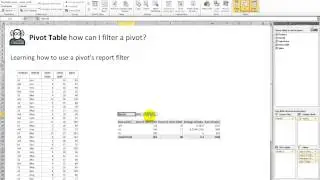 Video 00015 Pivot Table: How to use a PIVOT FILTER