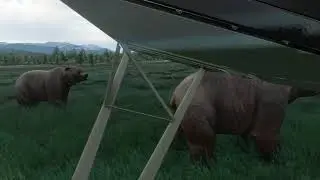 Microsoft Flight Simulator Grizzly