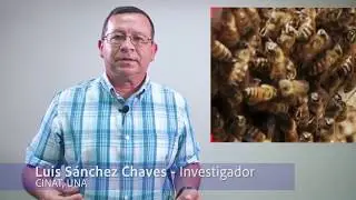 Polinización y Medio Ambiente _CINAT