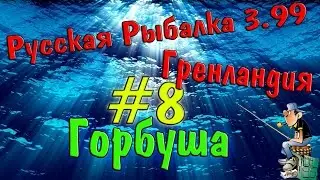 Русская рыбалка 3.99 (#8) Ловим горбушу.