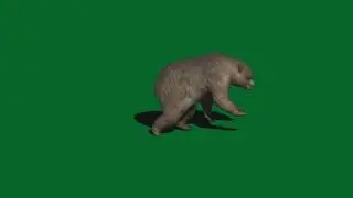 November 18, 2020 Download Green Screen Videos for Shortfilms for Free  2020 hot nice today best 👍