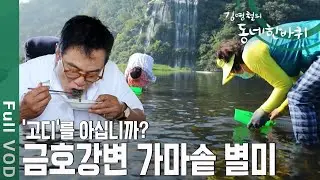 '고디'를 아십니까? 김영철도 푹! 빠진 금호강변 가마솥 별미 [동네한바퀴 - 경북 영천] | KBS 20200919 방송
