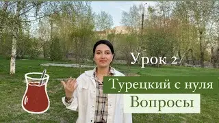 Турецкий с нуля : урок 2 || Вопросы | ne var ne yok? | iCan.today