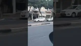 Свинский беспредел общемирового самодиза.