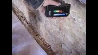 Video 1 Umidità