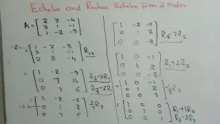 Row Echelon form of Matrix Explained | Echelon and Reduce Echelon Form