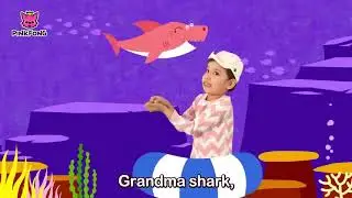 Bebê Tubarão Dança Cante e dance Canções animais PINKFONG Songs forChildrenPublic. 2 de set. de 2021