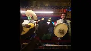 XOXIMILCO Cancun XCARET 🔴 Tour FIESTA en CANCUN ✅ MARIACHIS Tour de fiesta mexicana 🇲🇽🥳 #shorts