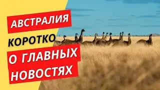 2 ГЛАВНЫЕ НОВОСТИ АВСТРАЛИИ 🇦🇺