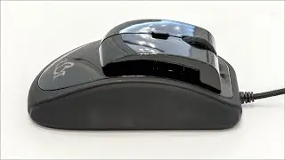 The Best Esports Ergonomic Mouse of 2021 - For Esports Professionals!