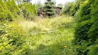 Наш день # 843 Начинается новый проект