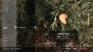 Skyrim