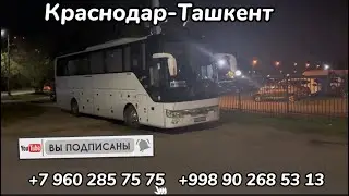 Краснодар Ташкент автобус 2023,краснодар-ташкент,Krasnodar Tashkent avtobus,Краснодар Худжанд