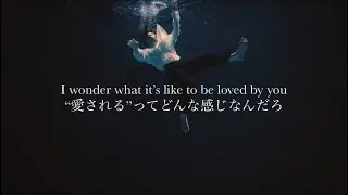 ”ただ僕は､｢自分｣になりたい｡｢愛」を知りたい。” Shawn Mendes / Wonder【和訳】