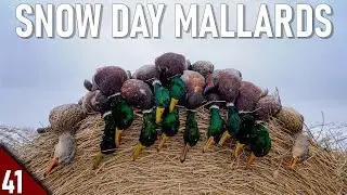 Late Season MALLARD Hunt in SNOW | 12 GAUGE Duck Hunting 2021