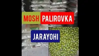 #MOSHNI