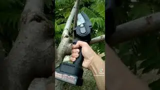 First Time Use #MiniChainsaw #short