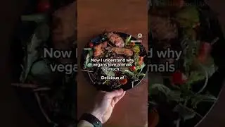 Memes From The Discord Basement