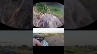 PCP bullpup Behemoth PS R2 5.5
