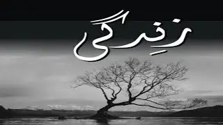 Urdu Quotes about Life|Quotes in Urdu|Best urdu quotes
