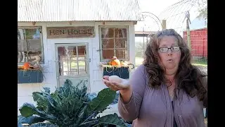 Homestead How To: Testing Eggs Good or Bad