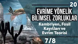 Kambriyen, Fosil Kayıtları ve Evrim Teorisi 7/8 (Türkçe Altyazılı)